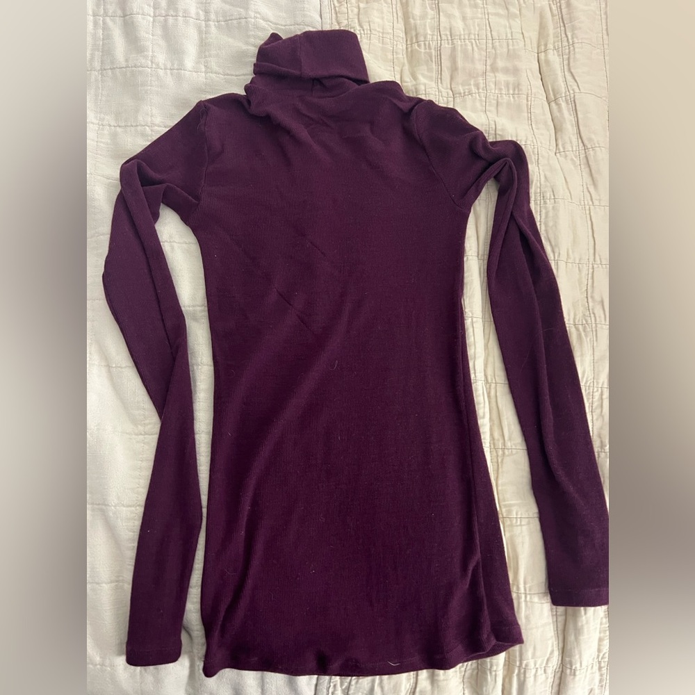 WoolX Sage turtleneck